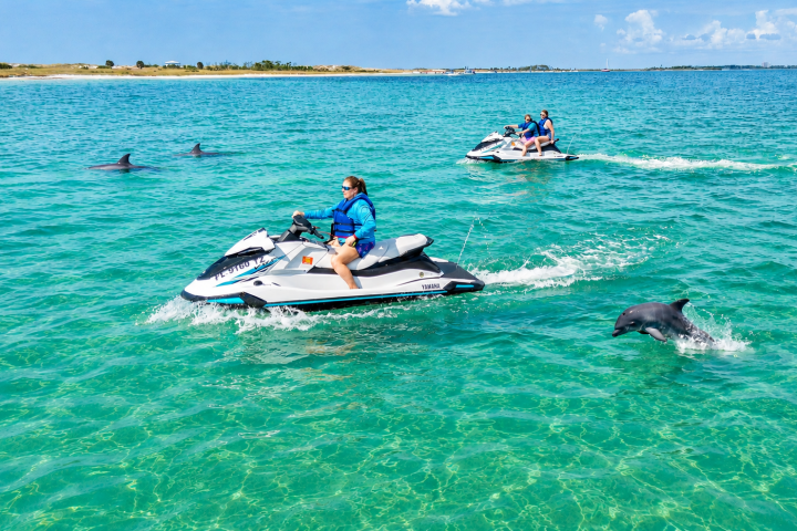Two people on jet skis with dolphins swimming nearby in clear blue water.