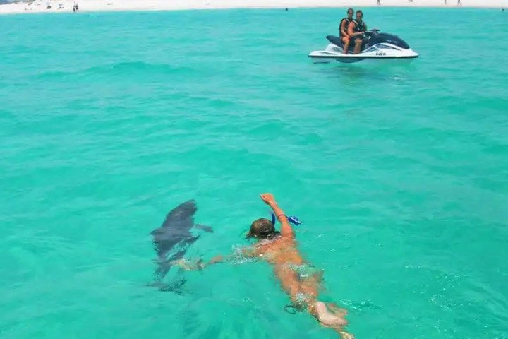 Person swimming near a dolphin; two people on a jet ski in clear turquoise water.