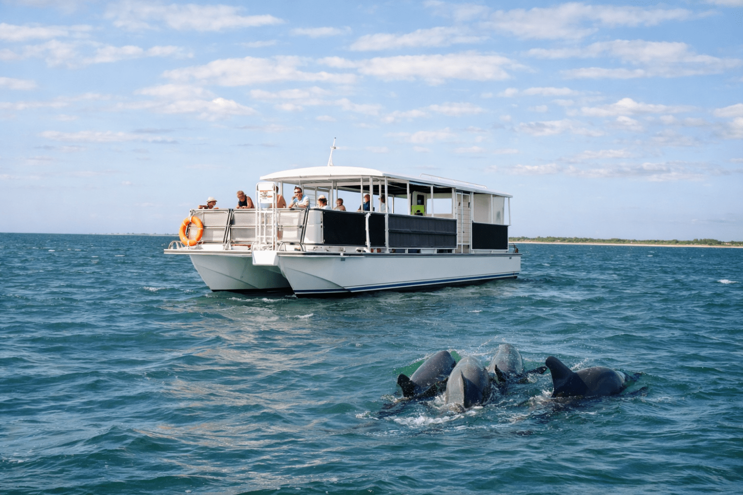People on a boat watching dolphins swim in the ocean under a clear sky.