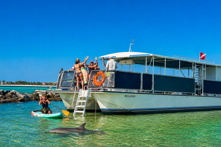 Group on a boat and kayak with dolphin in clear water.